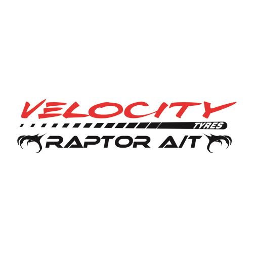 Velocity