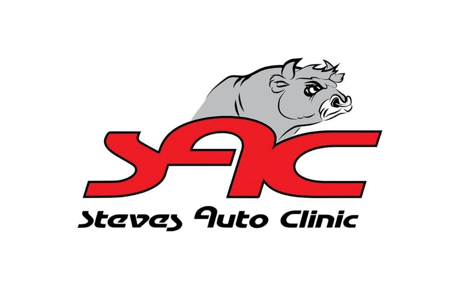 Steves Auto Clinic - Alberton